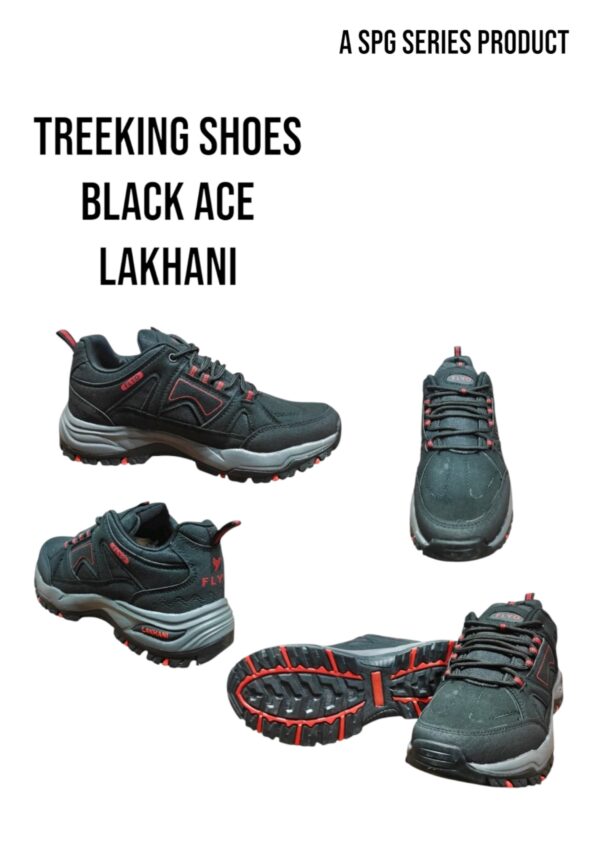 BLACK ACE (LAKHANI)